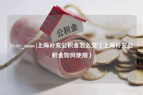 嵊州上海补充公积金怎么交（上海补充公积金如何使用）